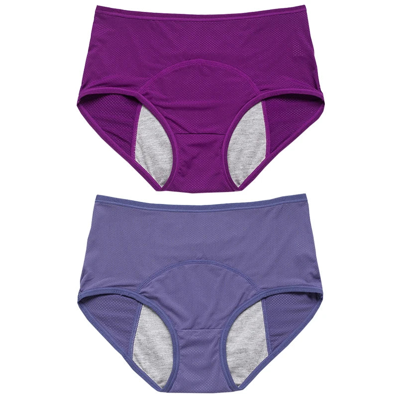 2pcs Women's Physiological Briefs Girl Menstrual Panties Ladies Period Leak Proof Panty Mid Waist Ice Silk Underwear