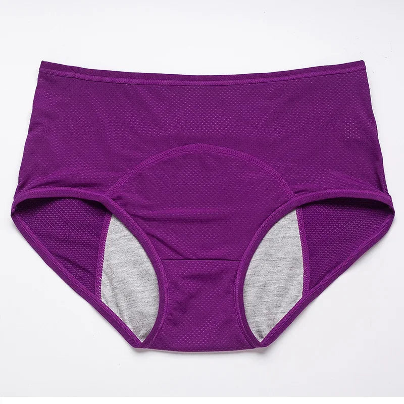 2pcs Women's Physiological Briefs Girl Menstrual Panties Ladies Period Leak Proof Panty Mid Waist Ice Silk Underwear