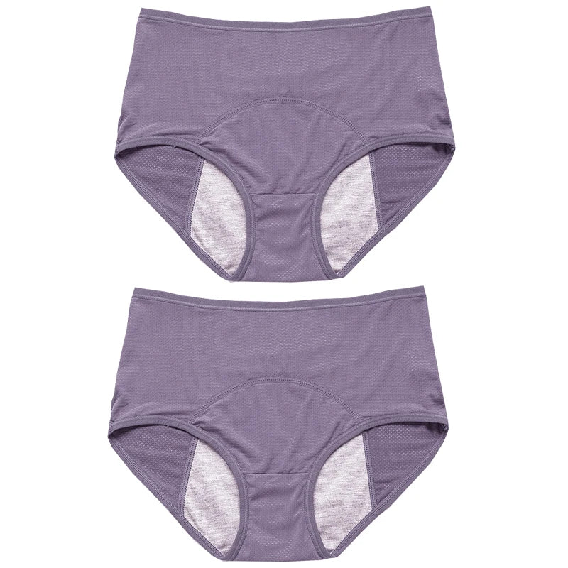 2pcs Women's Physiological Briefs Girl Menstrual Panties Ladies Period Leak Proof Panty Mid Waist Ice Silk Underwear
