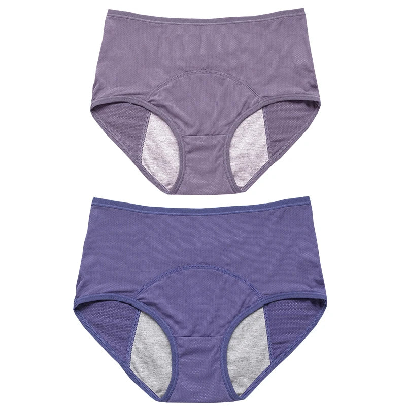 2pcs Women's Physiological Briefs Girl Menstrual Panties Ladies Period Leak Proof Panty Mid Waist Ice Silk Underwear