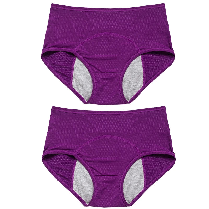 2pcs Women's Physiological Briefs Girl Menstrual Panties Ladies Period Leak Proof Panty Mid Waist Ice Silk Underwear
